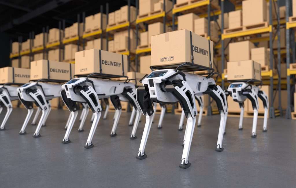 Robotic delivery